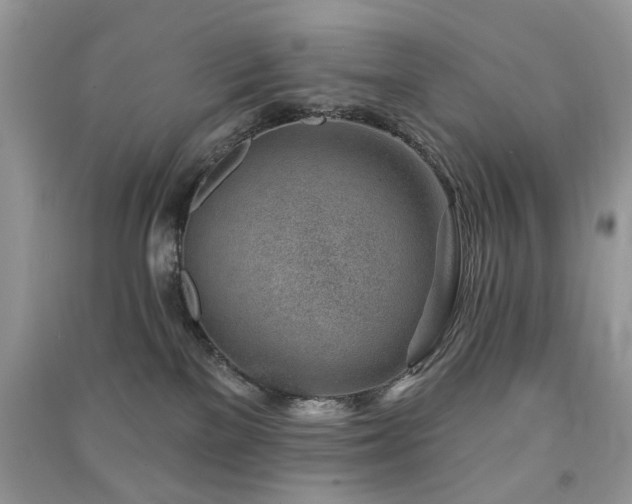 X0000091370137200708101540