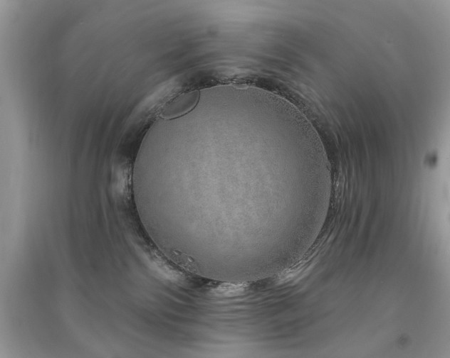 X0000091370138200708101540