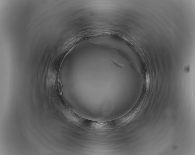 X0000091370139200708101540