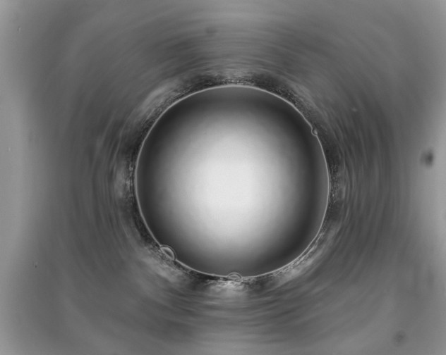 X0000091370140200708101540