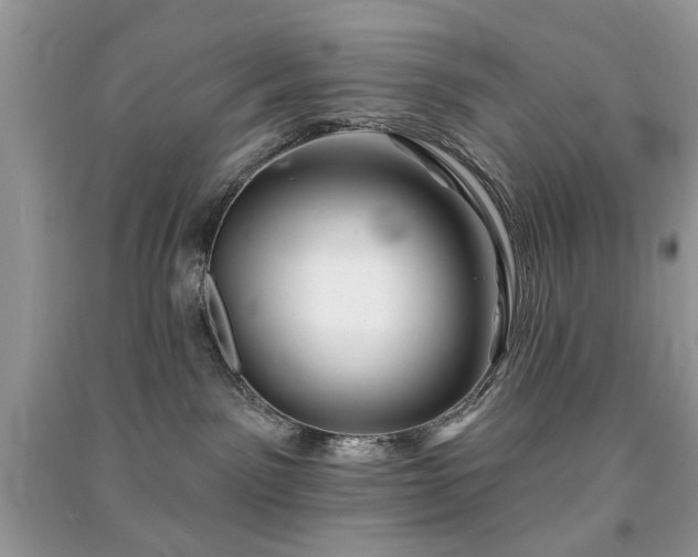 X0000091370141200708101540