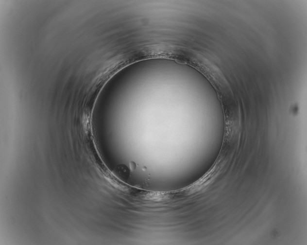 X0000091370142200708101540