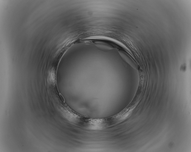 X0000091370143200708101540