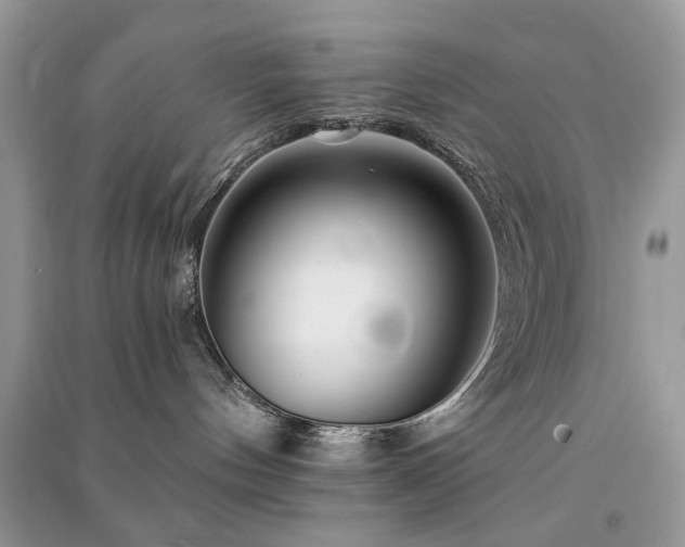 X0000091370144200708101540