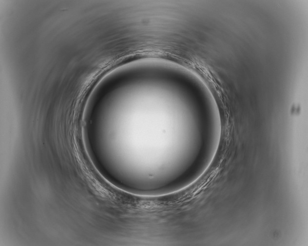 X0000091370145200708101539