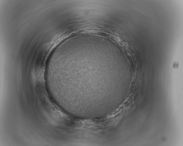 X0000091370146200708101539