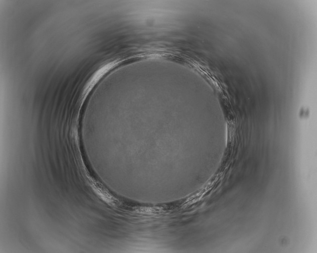 X0000091370147200708101539