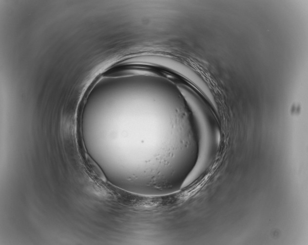 X0000091370148200708101539