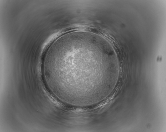 X0000091370149200708101539