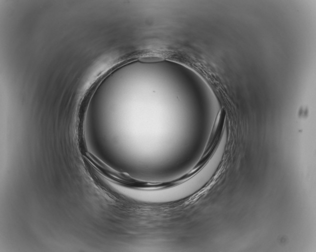 X0000091370150200708101539