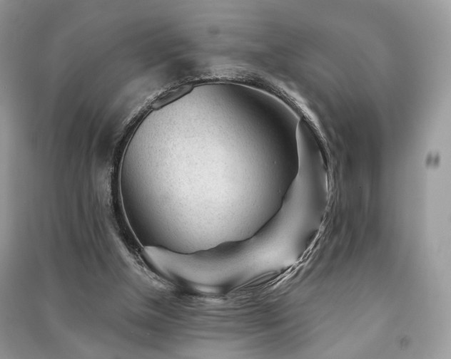 X0000091370154200708101539