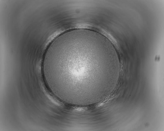 X0000091370155200708101539