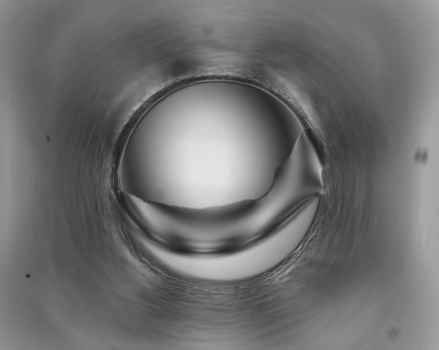 X0000091370156200708101539