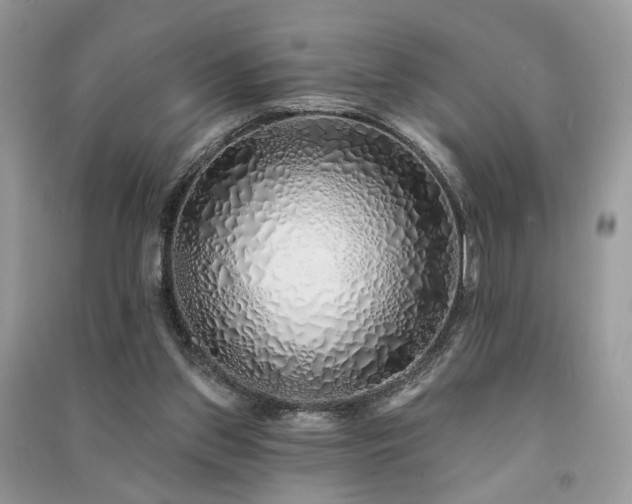 X0000091370157200708101539