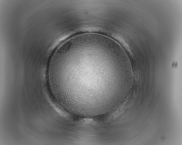 X0000091370159200708101539