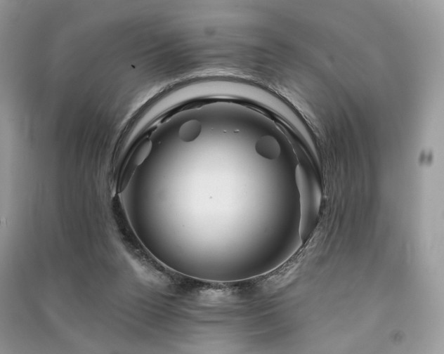 X0000091370160200708101539