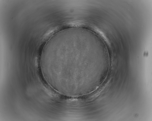 X0000091370161200708101539