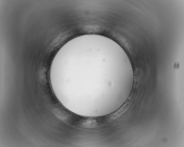 X0000091370162200708101539