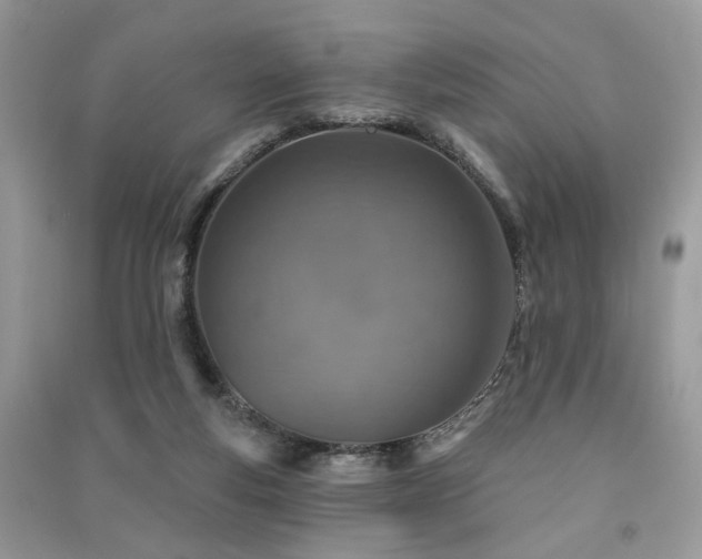 X0000091370163200708101539