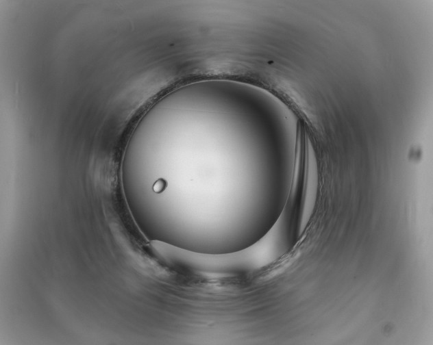 X0000091370164200708101539