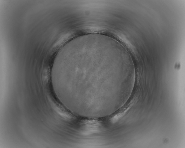 X0000091370165200708101539