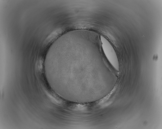 X0000091370166200708101539