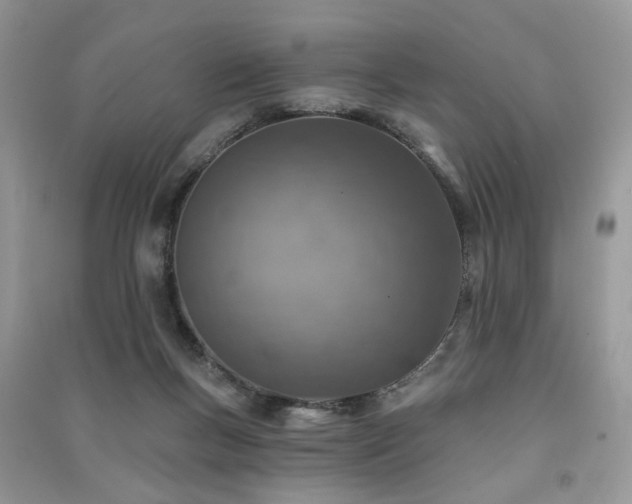 X0000091370167200708101539