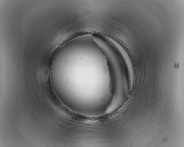 X0000091370168200708101539