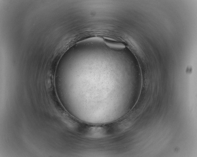 X0000091370169200708101539