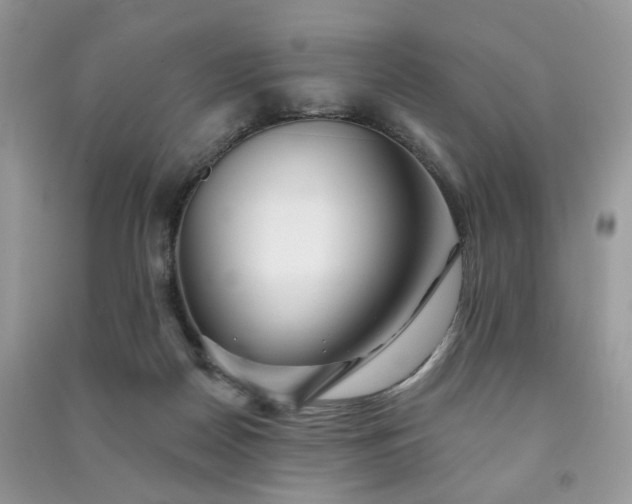 X0000091370170200708101540