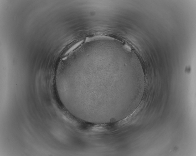 X0000091370171200708101540