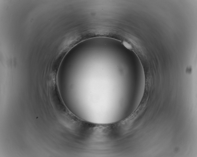 X0000091370172200708101540