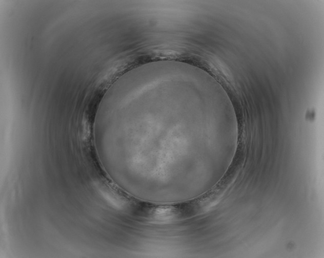 X0000091370173200708101540