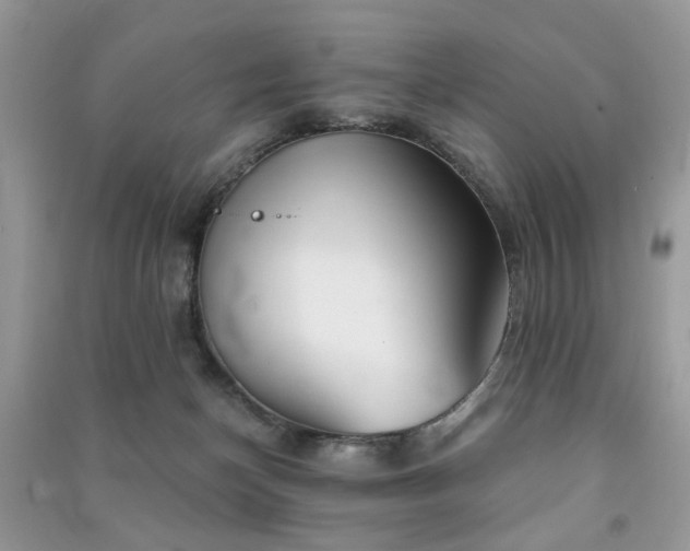 X0000091370174200708101540