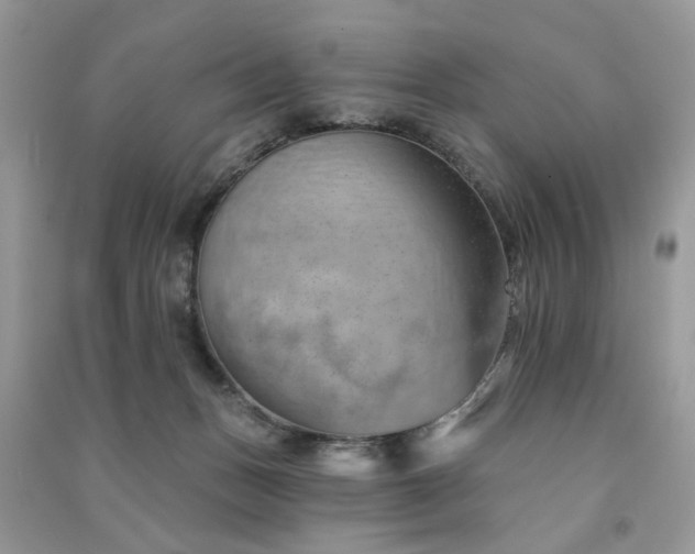 X0000091370175200708101540