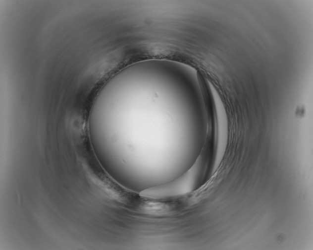 X0000091370176200708101540