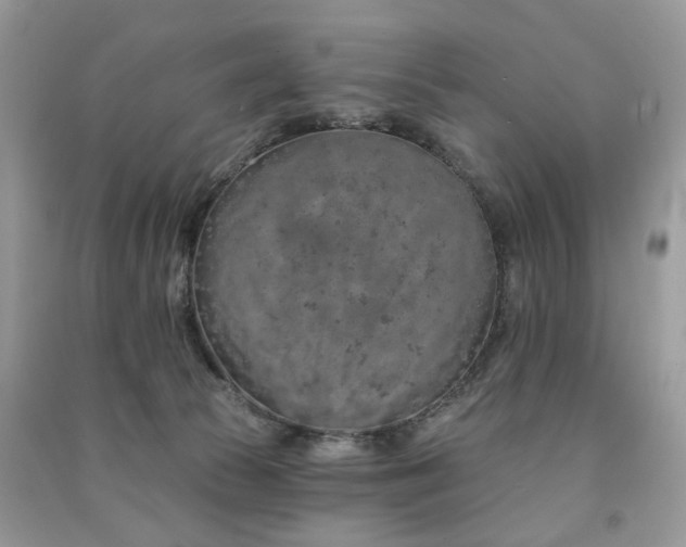 X0000091370177200708101540