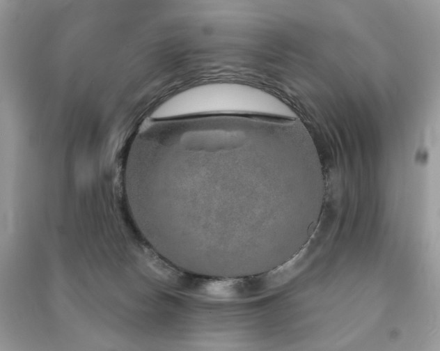 X0000091370178200708101540