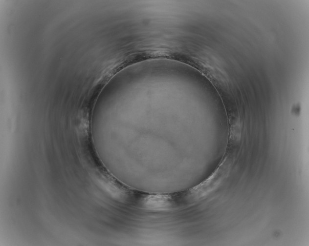 X0000091370179200708101540