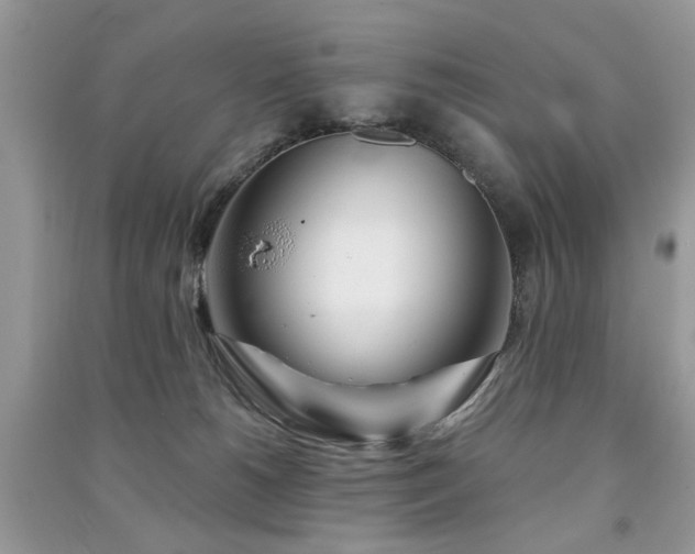 X0000091370180200708101540