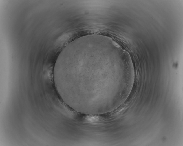 X0000091370181200708101540