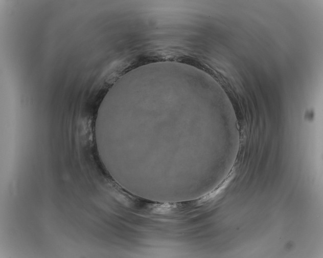 X0000091370182200708101540