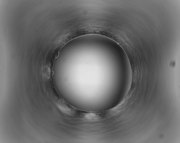 X0000091370183200708101540