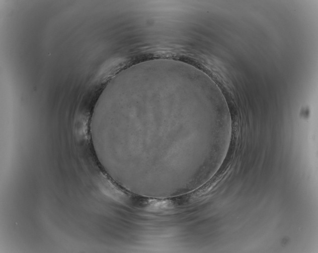 X0000091370185200708101540