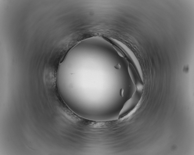 X0000091370186200708101540