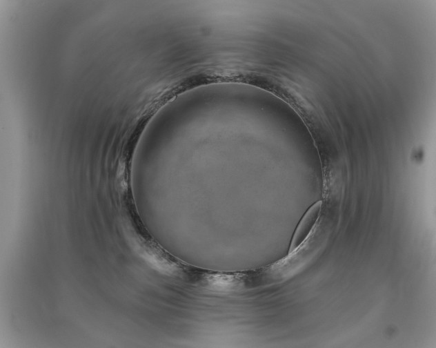 X0000091370187200708101540