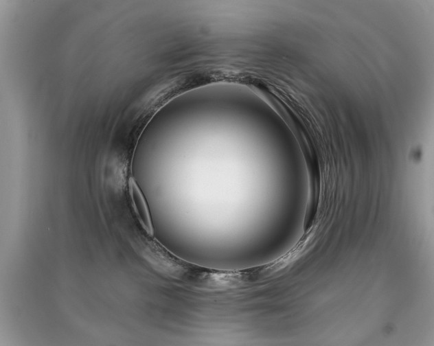 X0000091370188200708101540