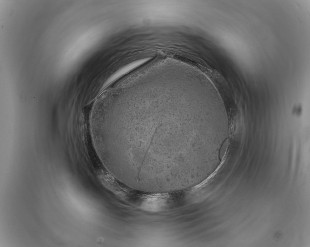 X0000091370191200708101540