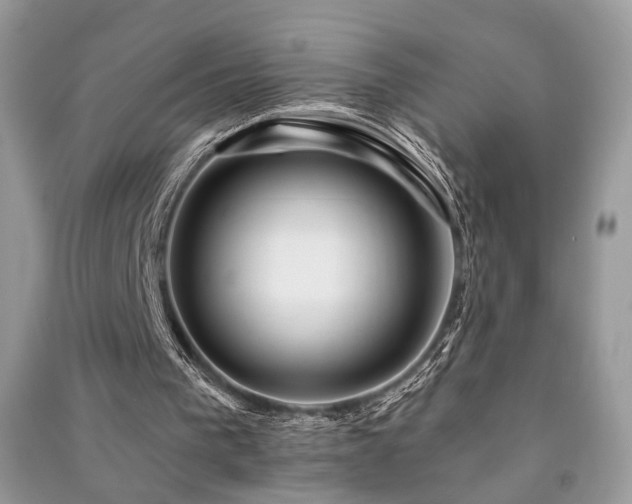 X0000091370193200708101539