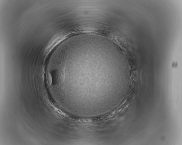 X0000091370194200708101539